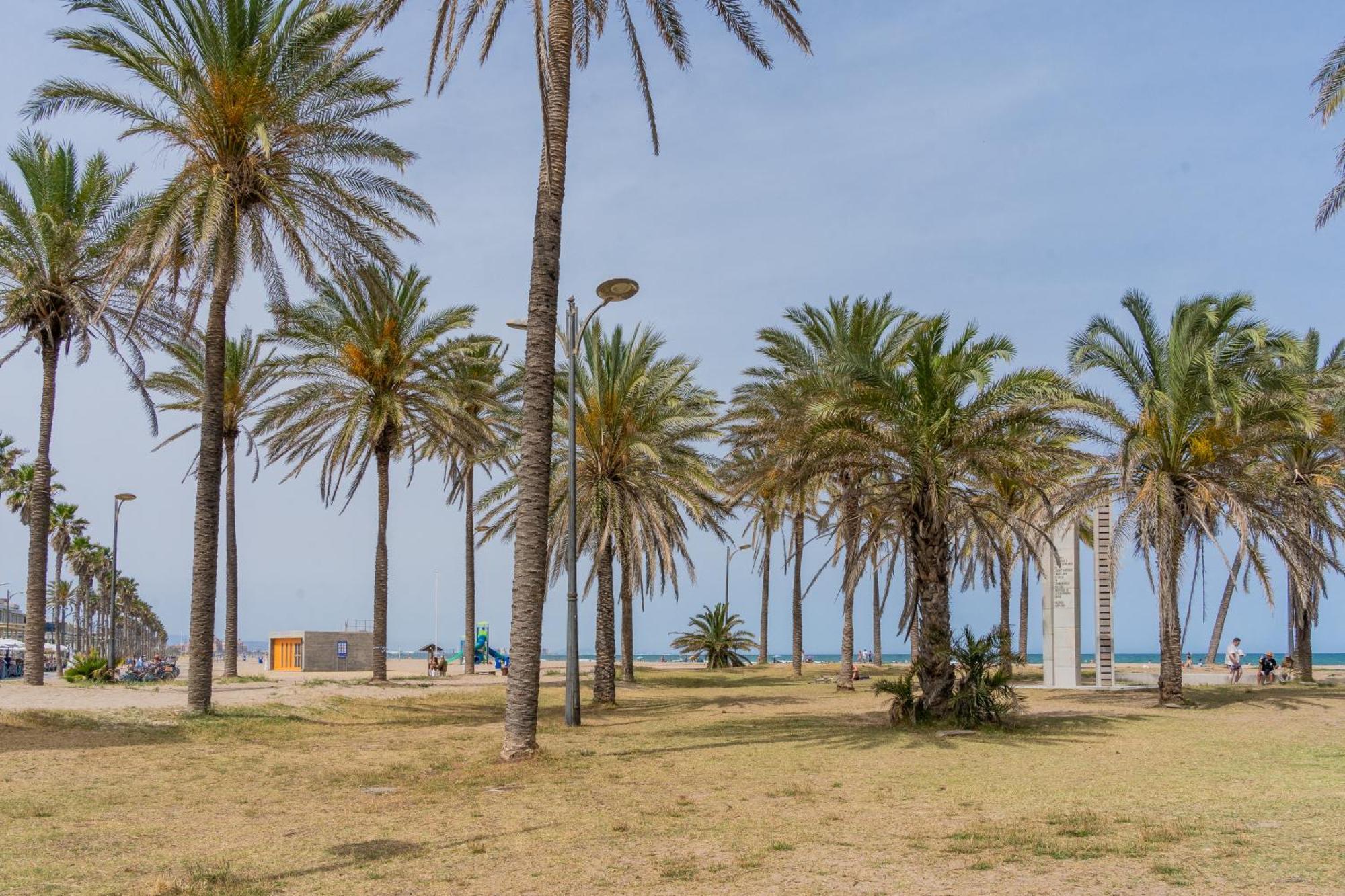 Nautico Junto A La Playa Malvarrosa *