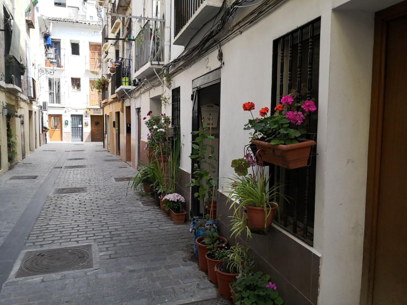 Loft Bajo Vivienda Centro De Valencia-carmen *