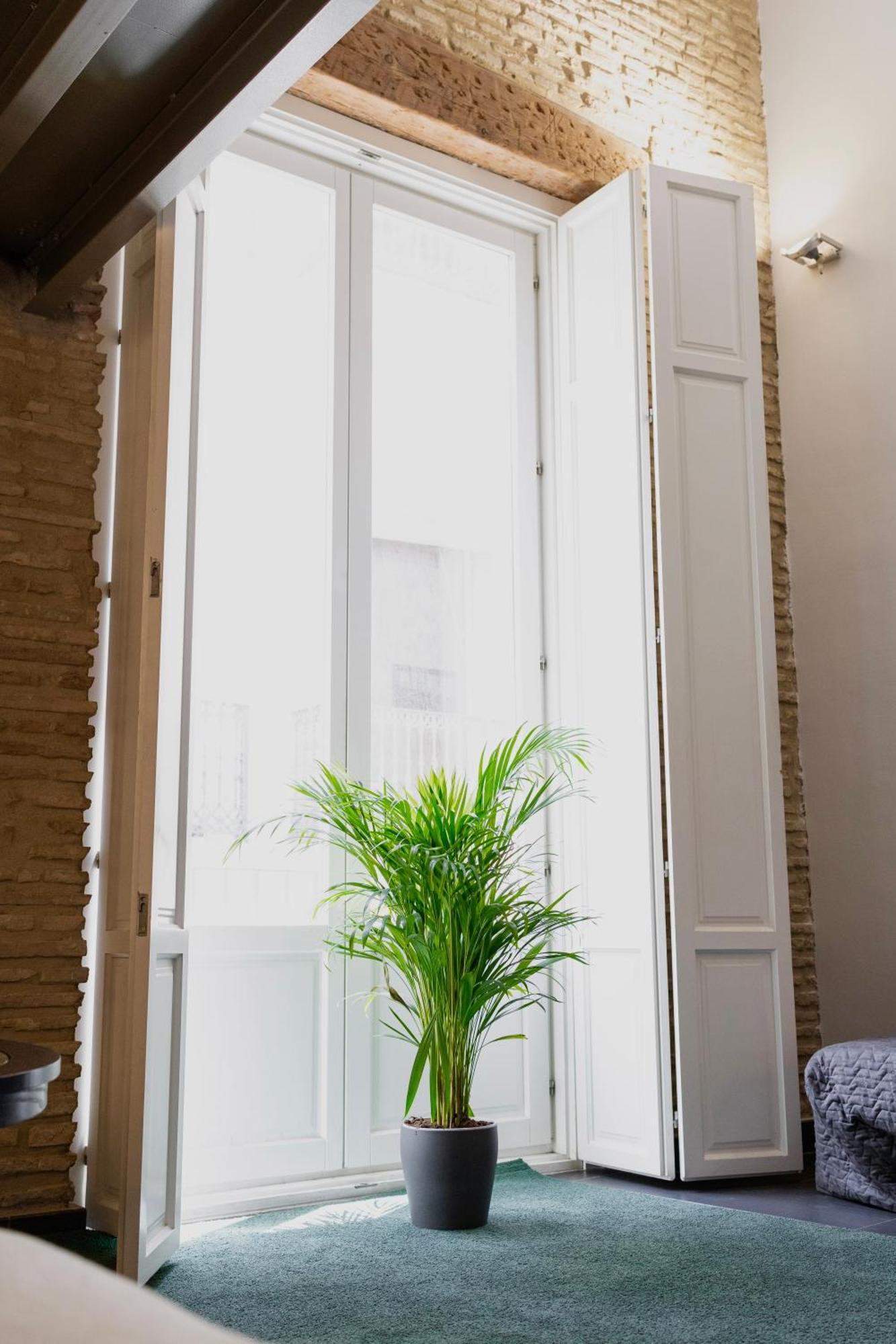 Apartamento Cosy Duplex Centro Valencia