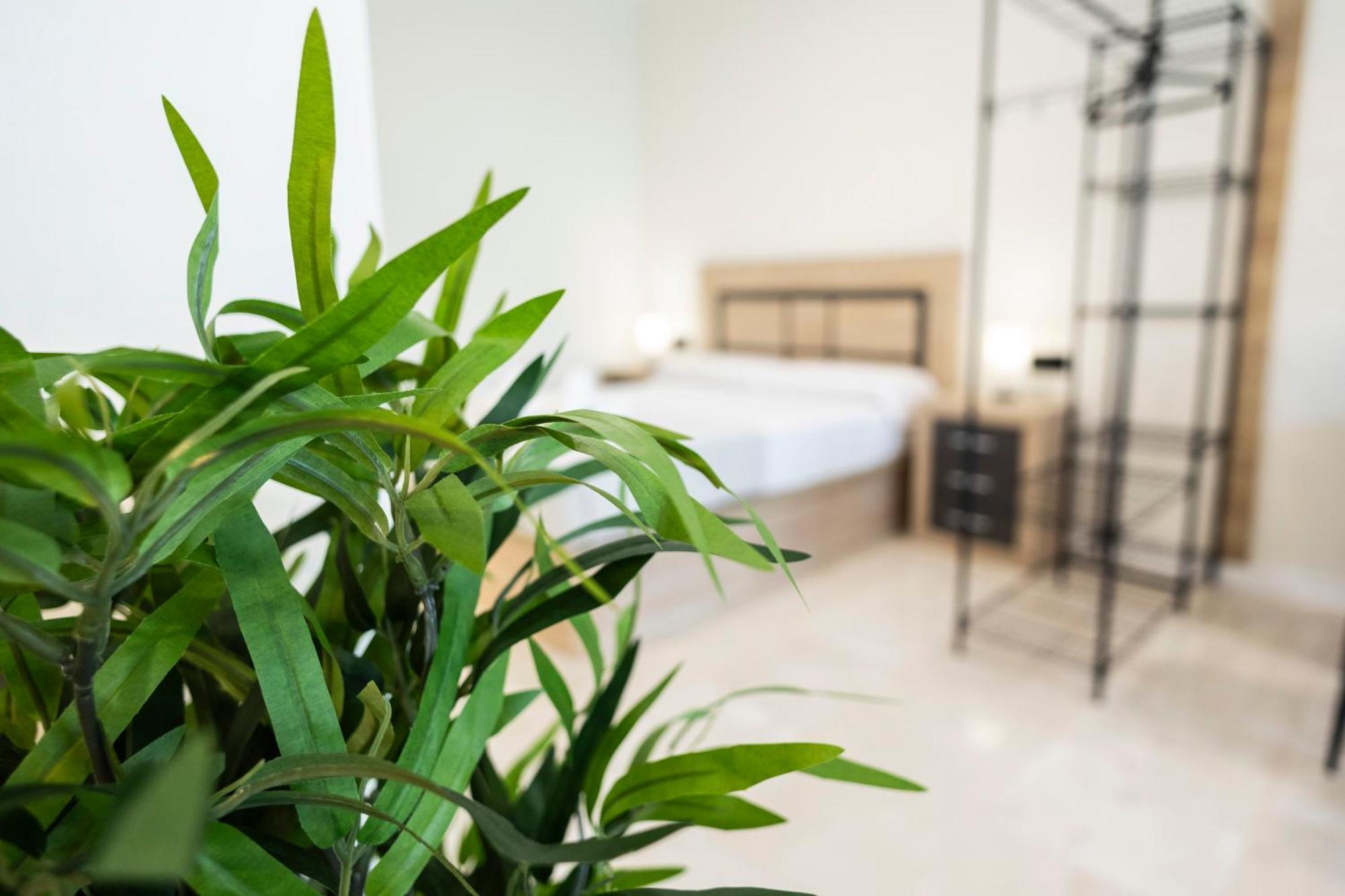Apartamento Vera Garden By Concept Flats *