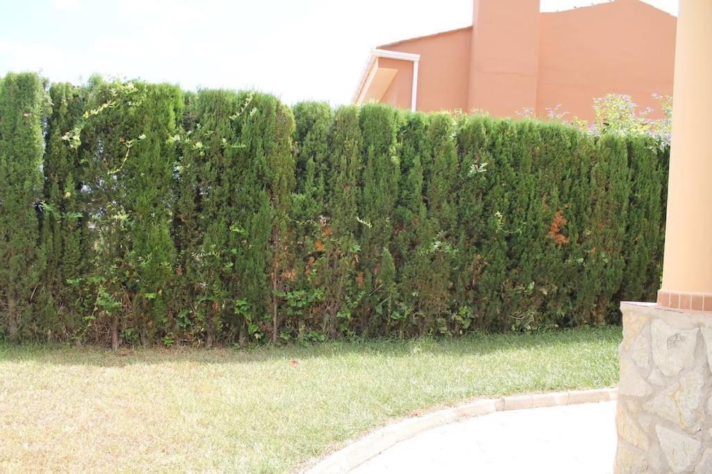 La Casa Del Olivo En Montserrat -