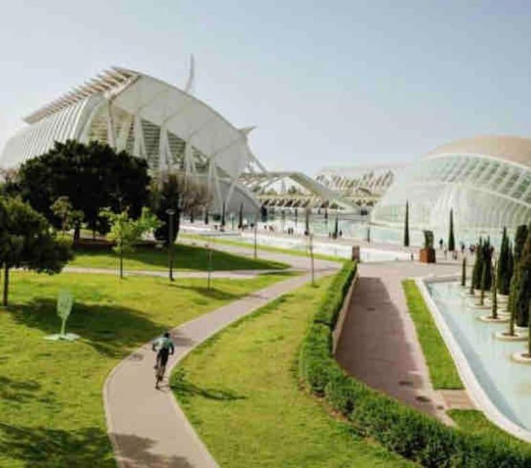 Ruzafa Experience Oceanografic Ciencias Valencia