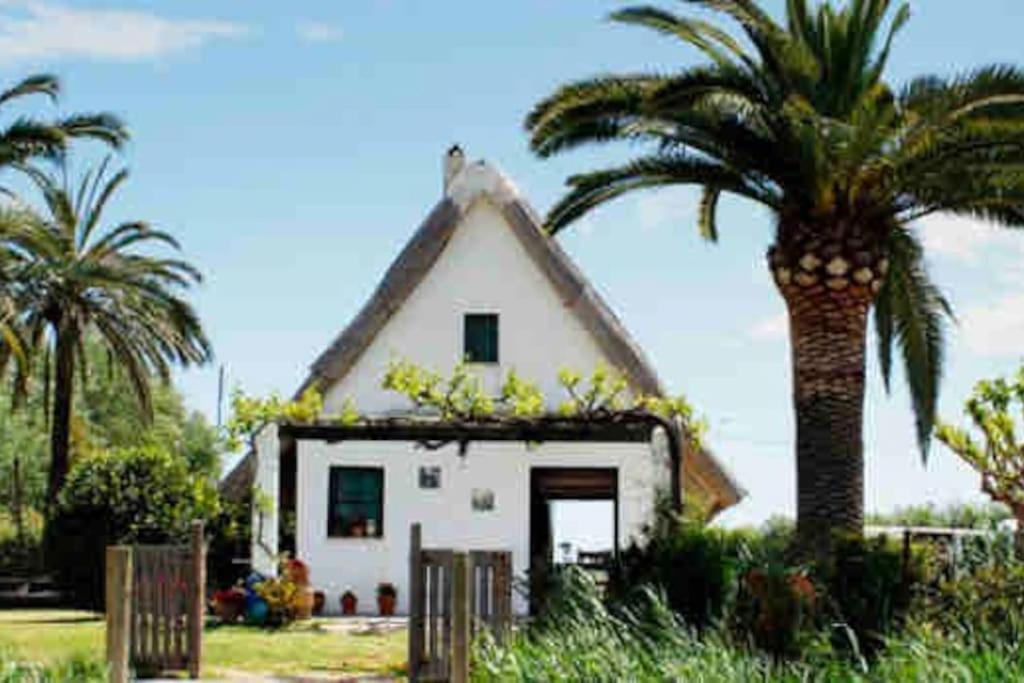 Apartamento Ruzafa Experience Oceanografic Ciencias Valencia