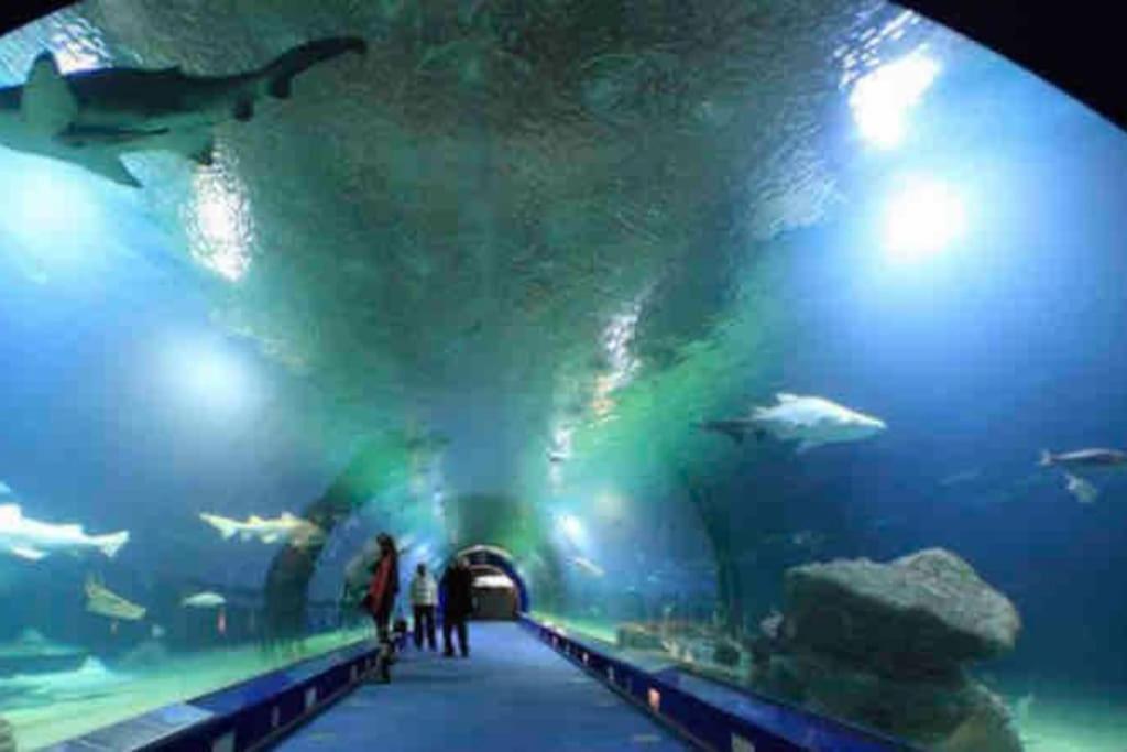 Ruzafa Experience Oceanografic Ciencias Apartamento *