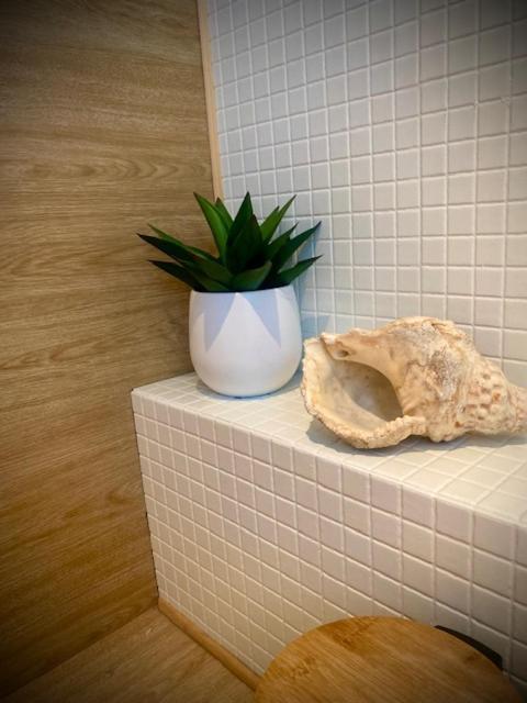 Apartment Aire