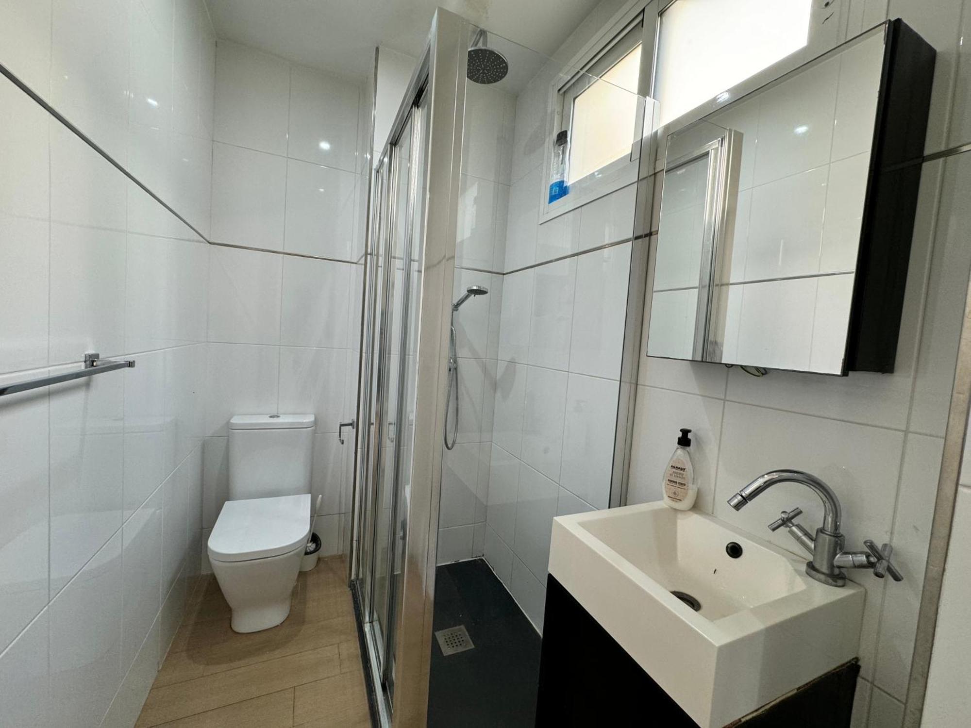 Luxury Apartment