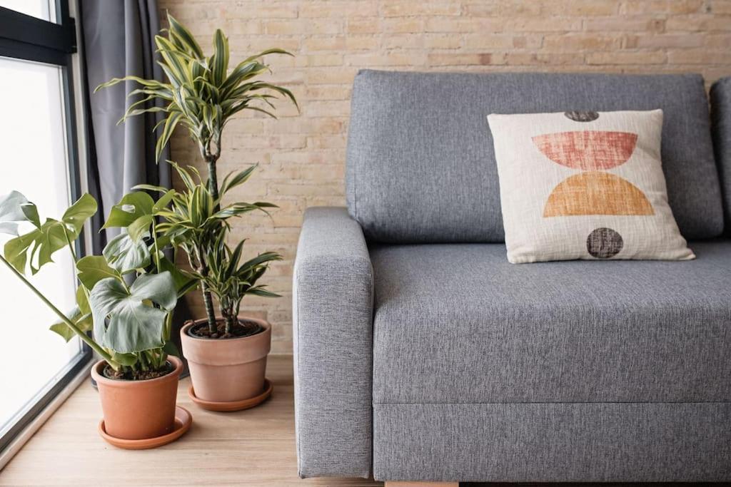 Apartamento Lofts Plaza Jm Orense C