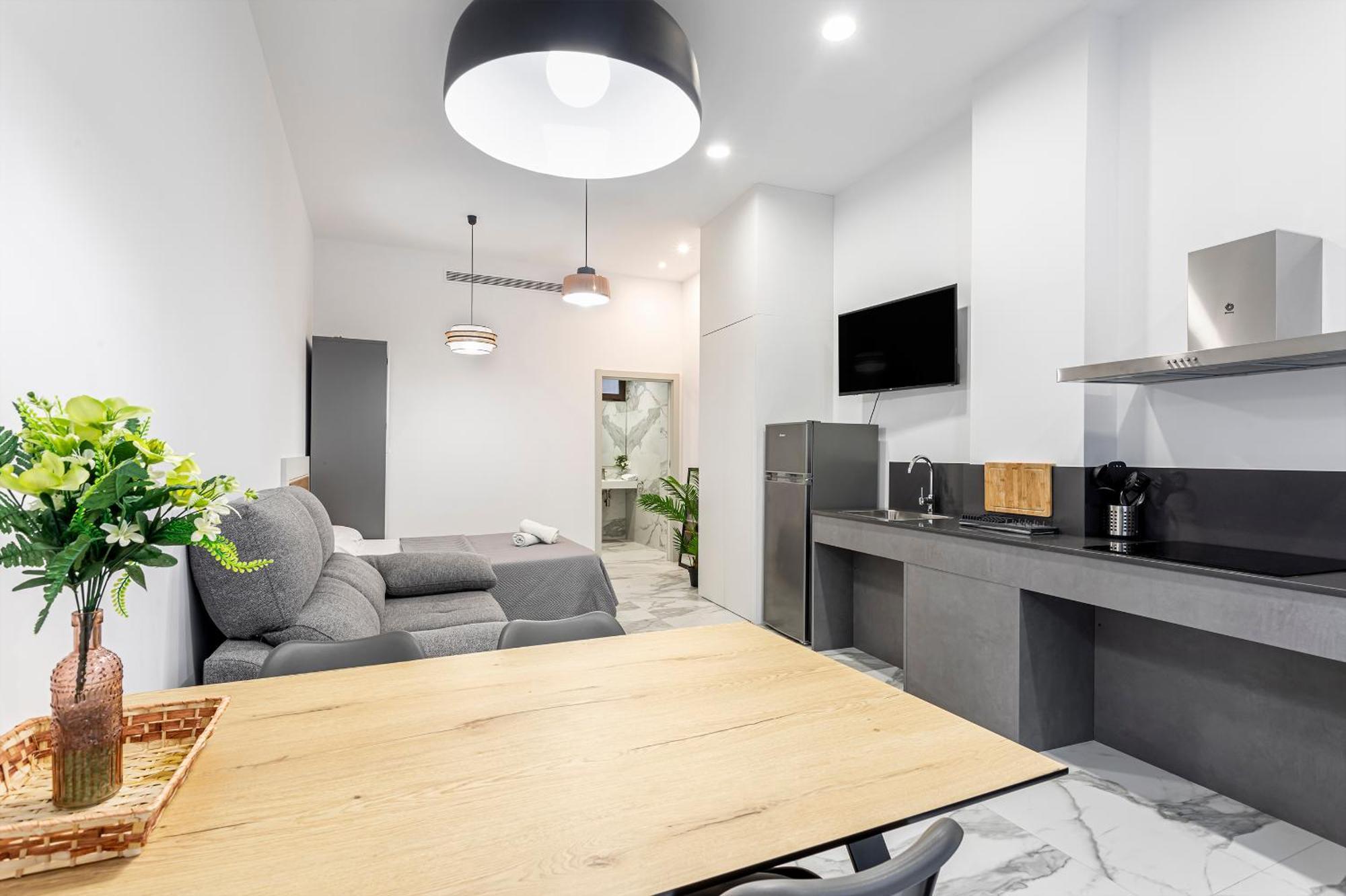 Apartment Elegante Y Moderno 1 O 2 Pax