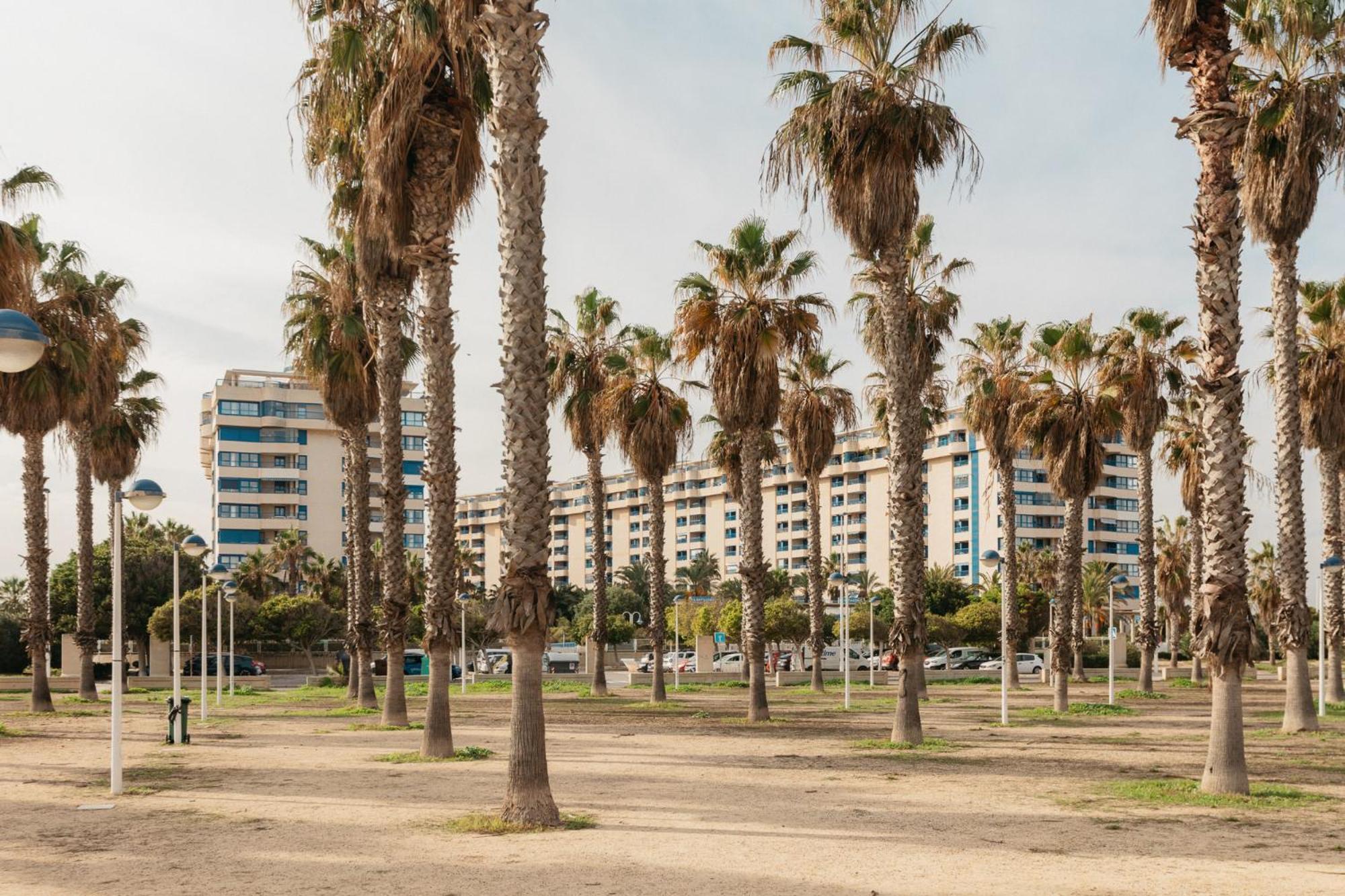 Resort Beach Valencia Valencia