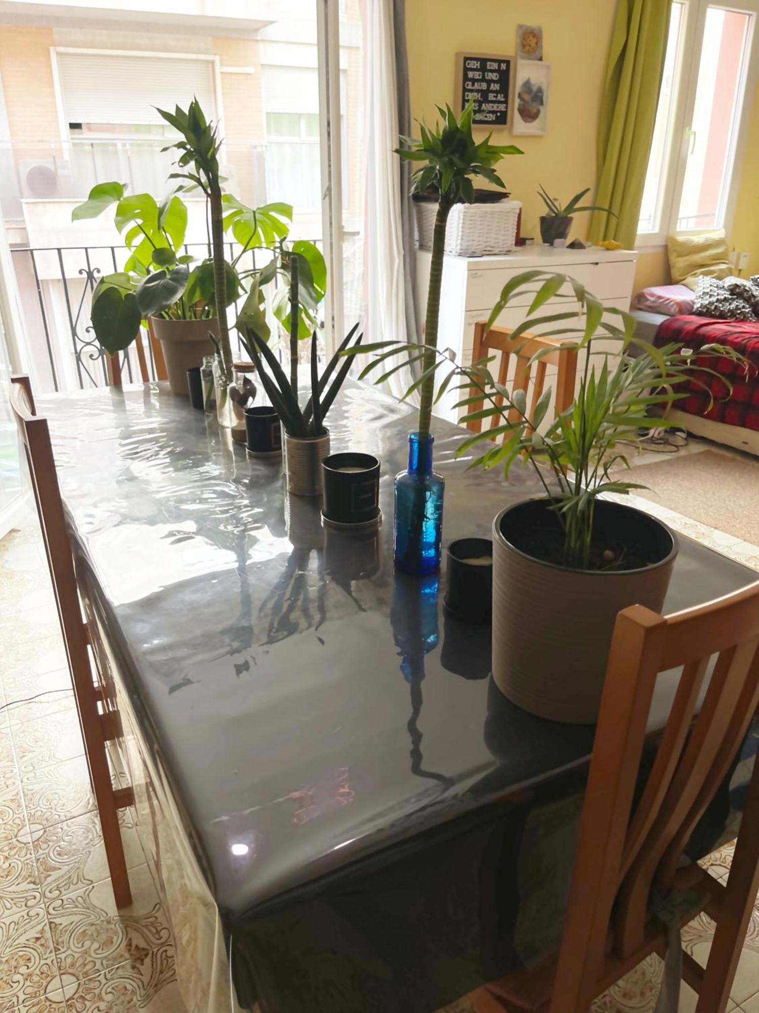 Habitación en casa particular Gemuetliches 