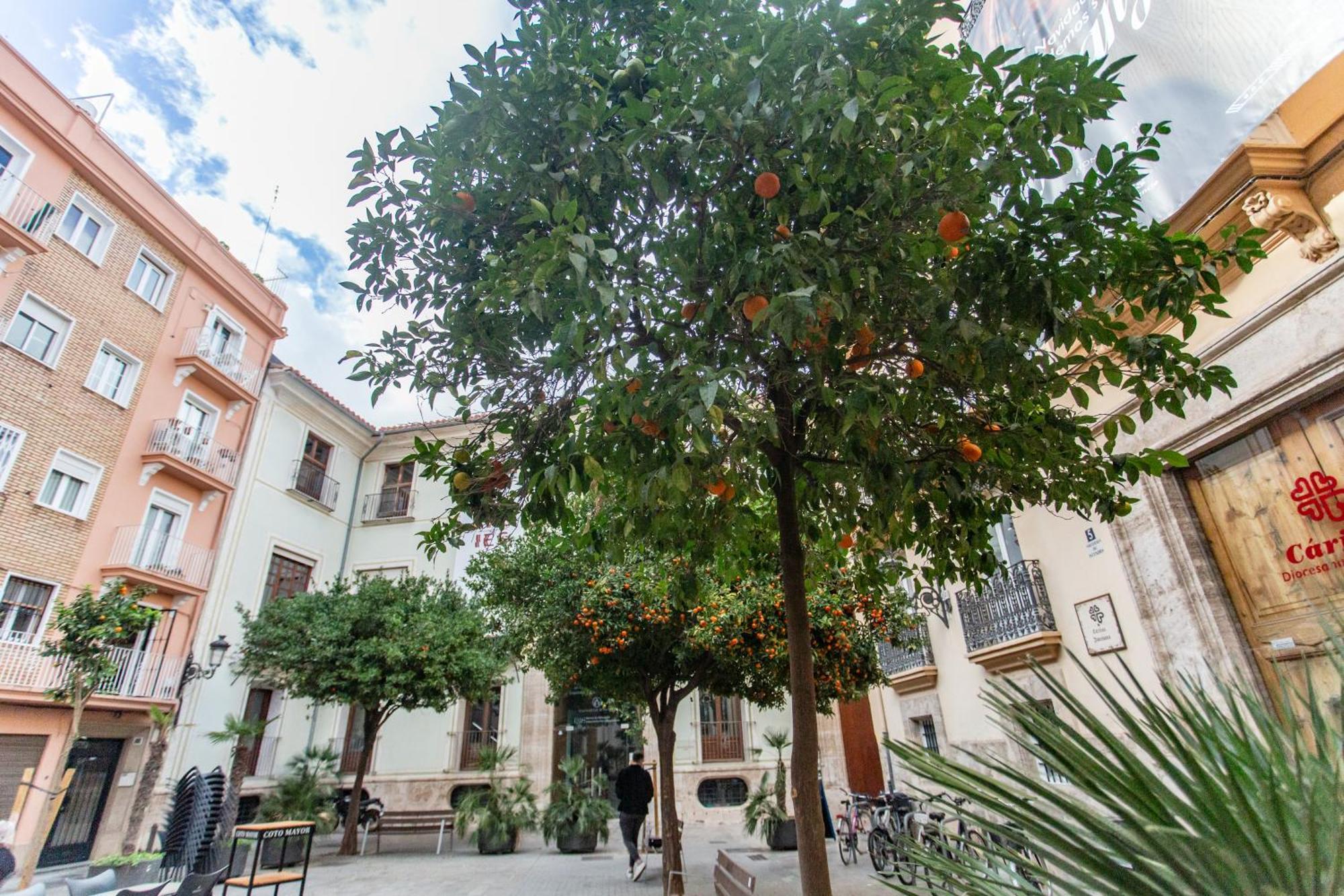 Tranquilo En Plaza Cisneros Apartamento Valencia