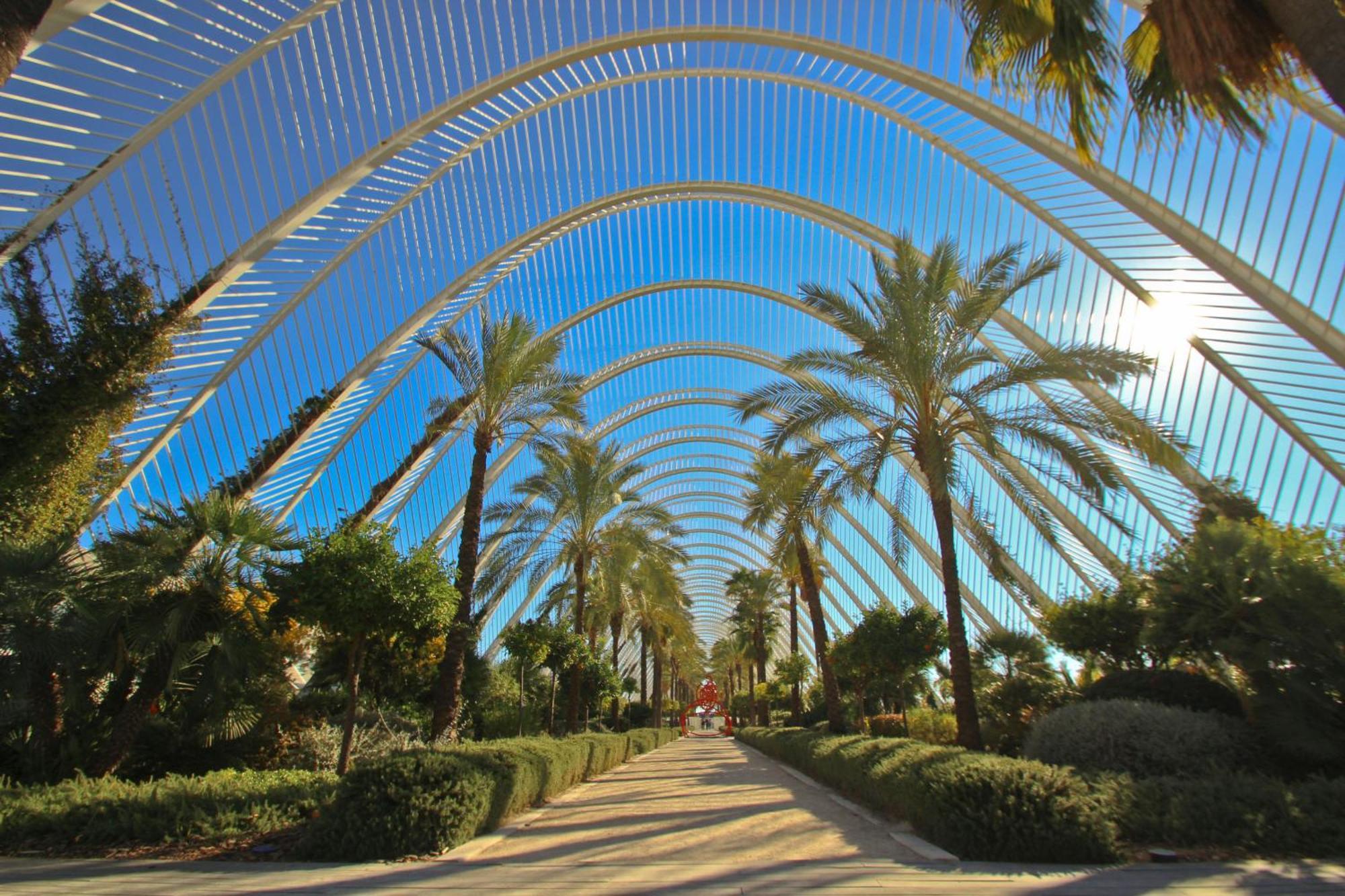 Guillem Jafer Apartamento Valencia
