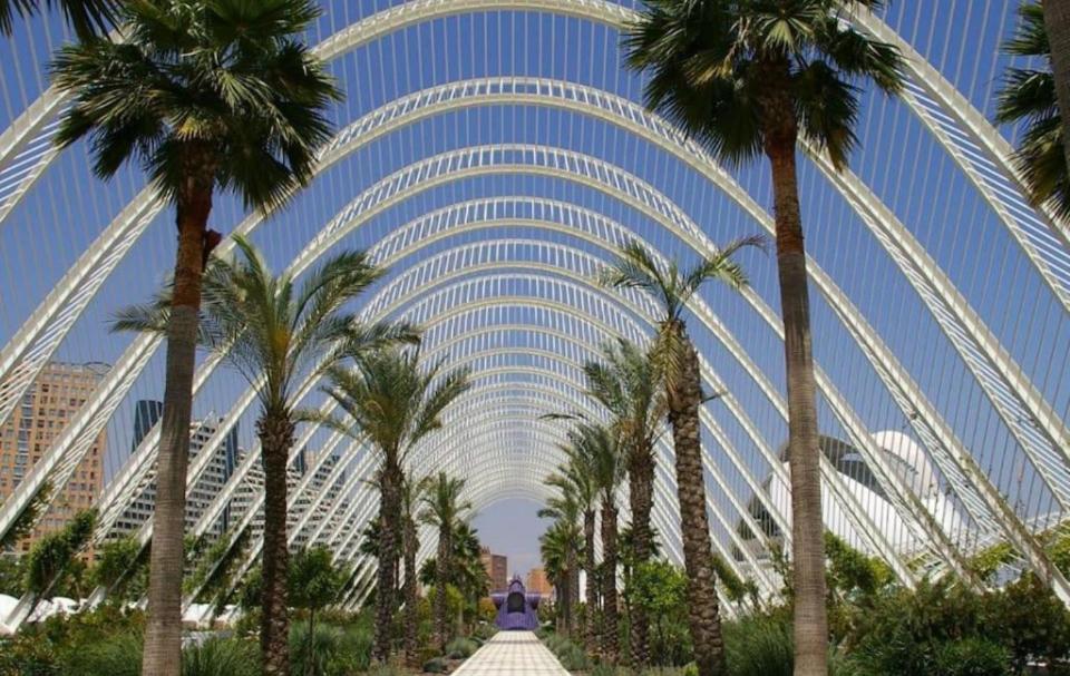 Apartamento In Main Center Valencia