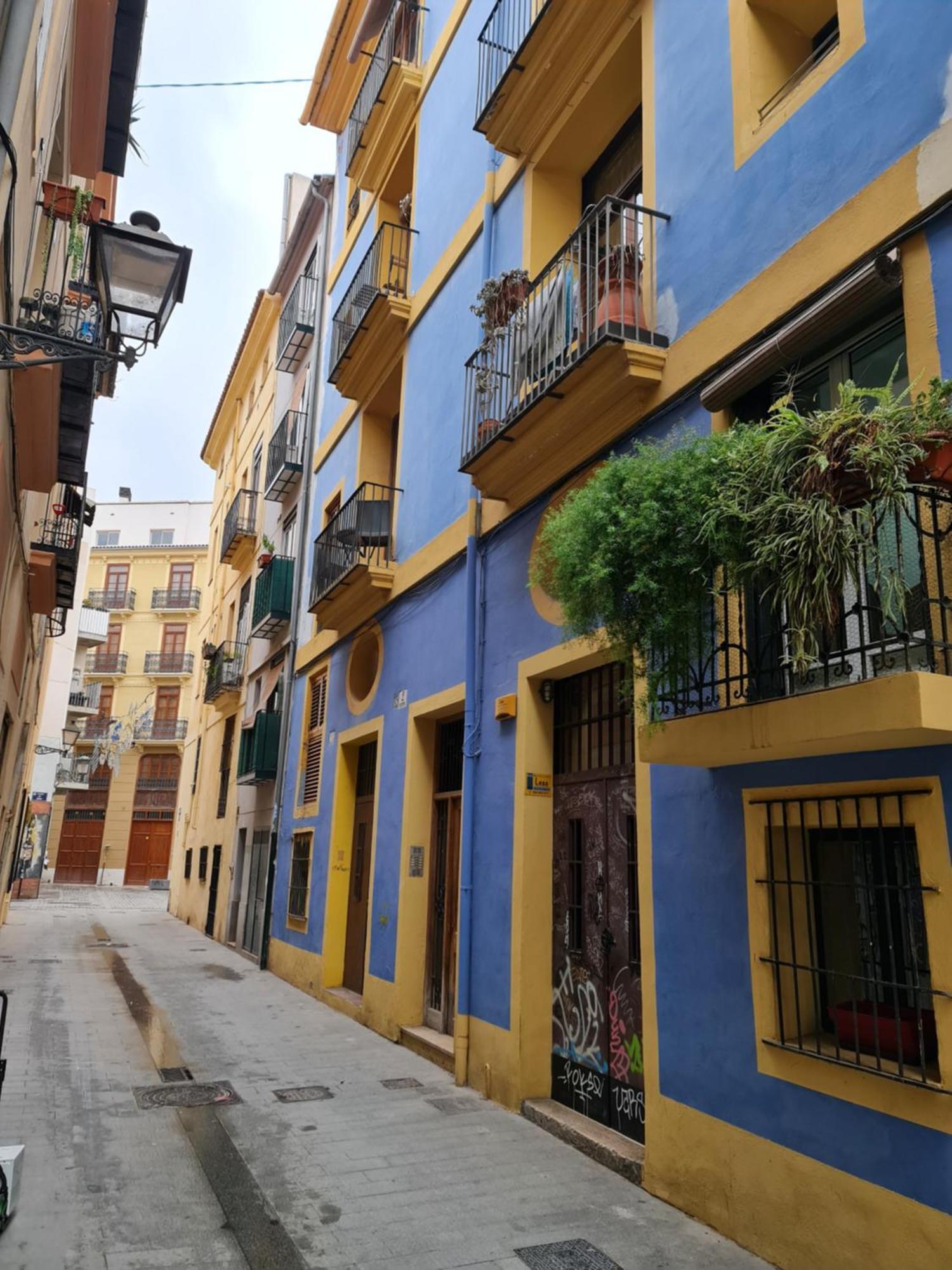 El Olivo