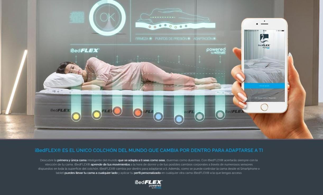 Bear Homes - Olimpia *