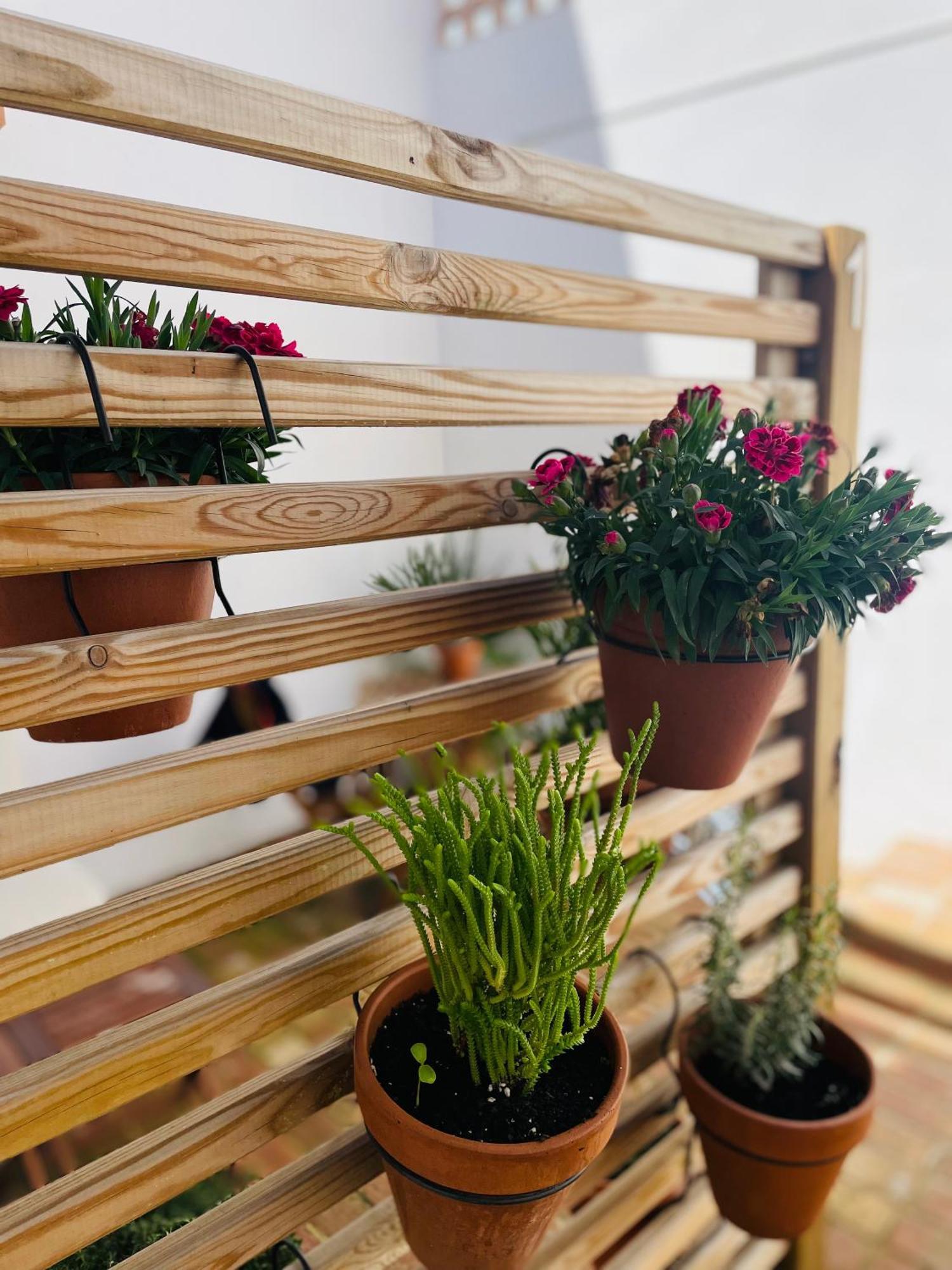 Apartamento Casa Valenciana Con Terraza *