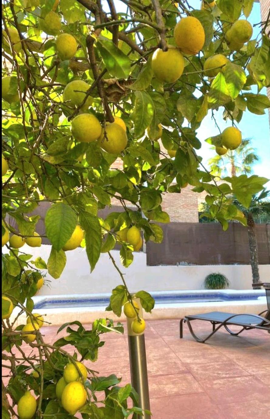 Сasa de vacaciones Casa En Valencia, Cerca De Golf, Playas, Moto Gp Valencia