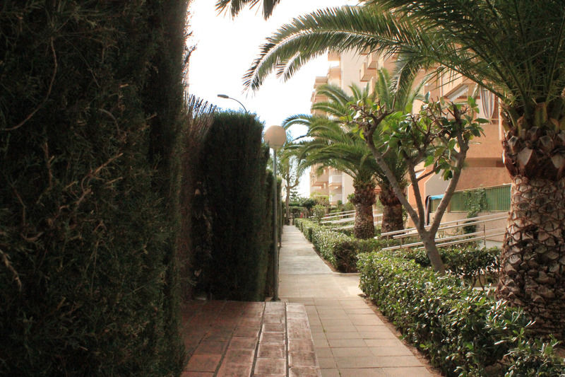 Apartamento Gandia Playa 3000 Valencia