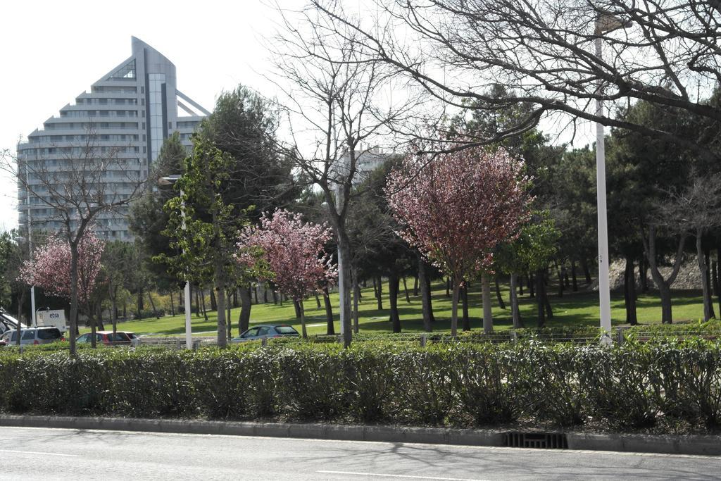 Apartamento Angel Alcazar 35 Apartamento *