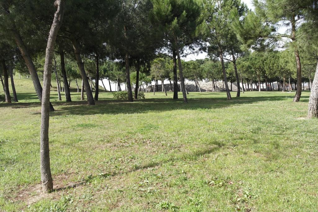 Apartamento Angel Alcazar 35 Apartamento *