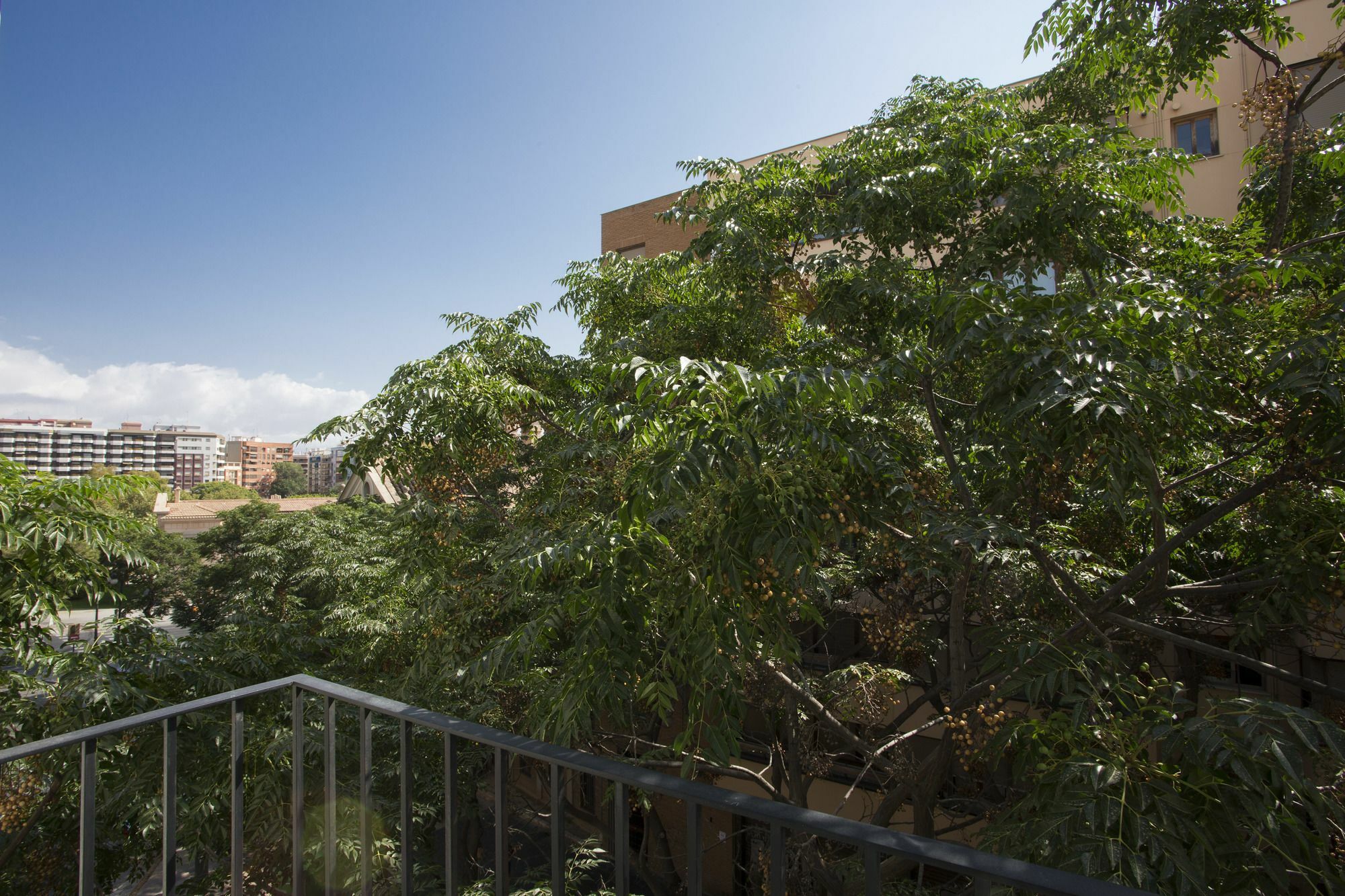 Singularstays Na Jordana * Valencia