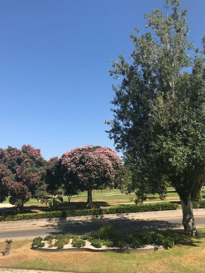 Apartamento Plaza Sainetero Arniches