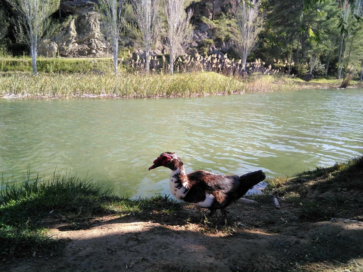 Magnífico Adosado, Cerca De Ciudad, En Zona De Montaña Y Playa Fluvial *
