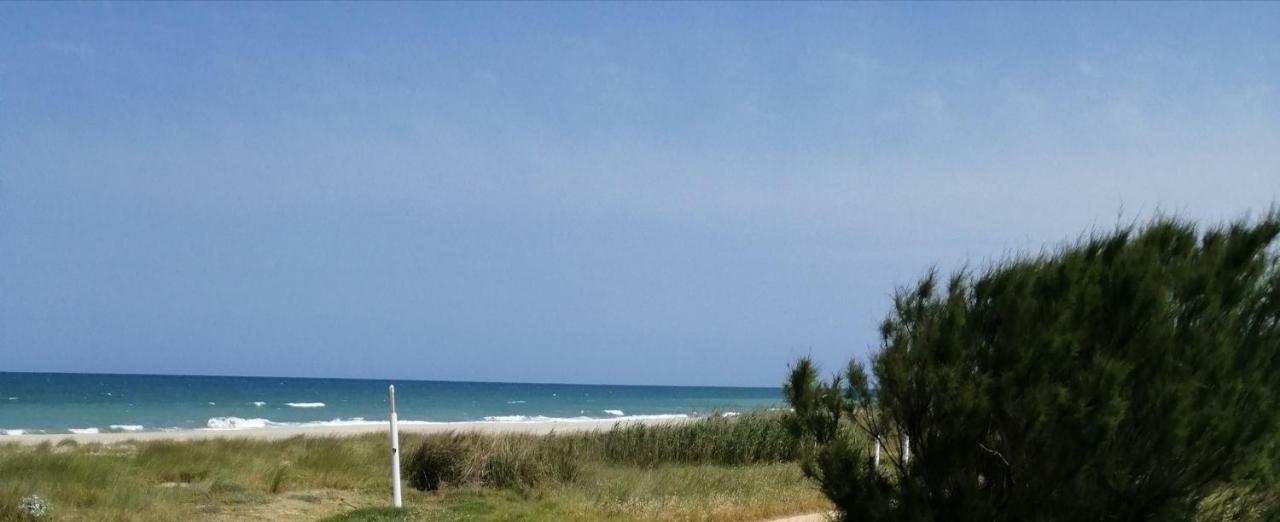 Camping Car La Marina * Valencia