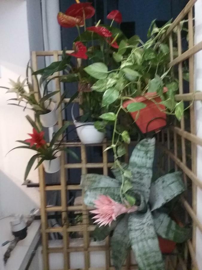 New Trendy Apartamento *