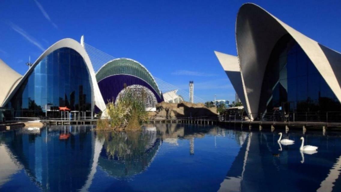 En La Ciudad De Ciencias Y Cerca De La Playa