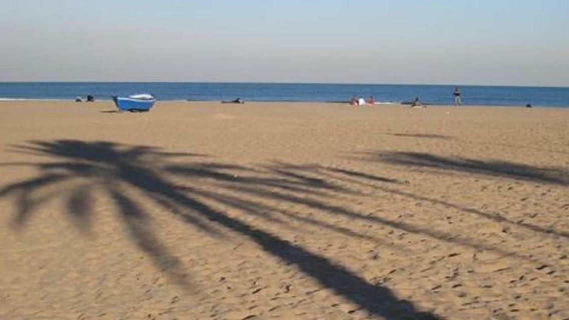 En La Ciudad De Ciencias Y Cerca De La Playa *