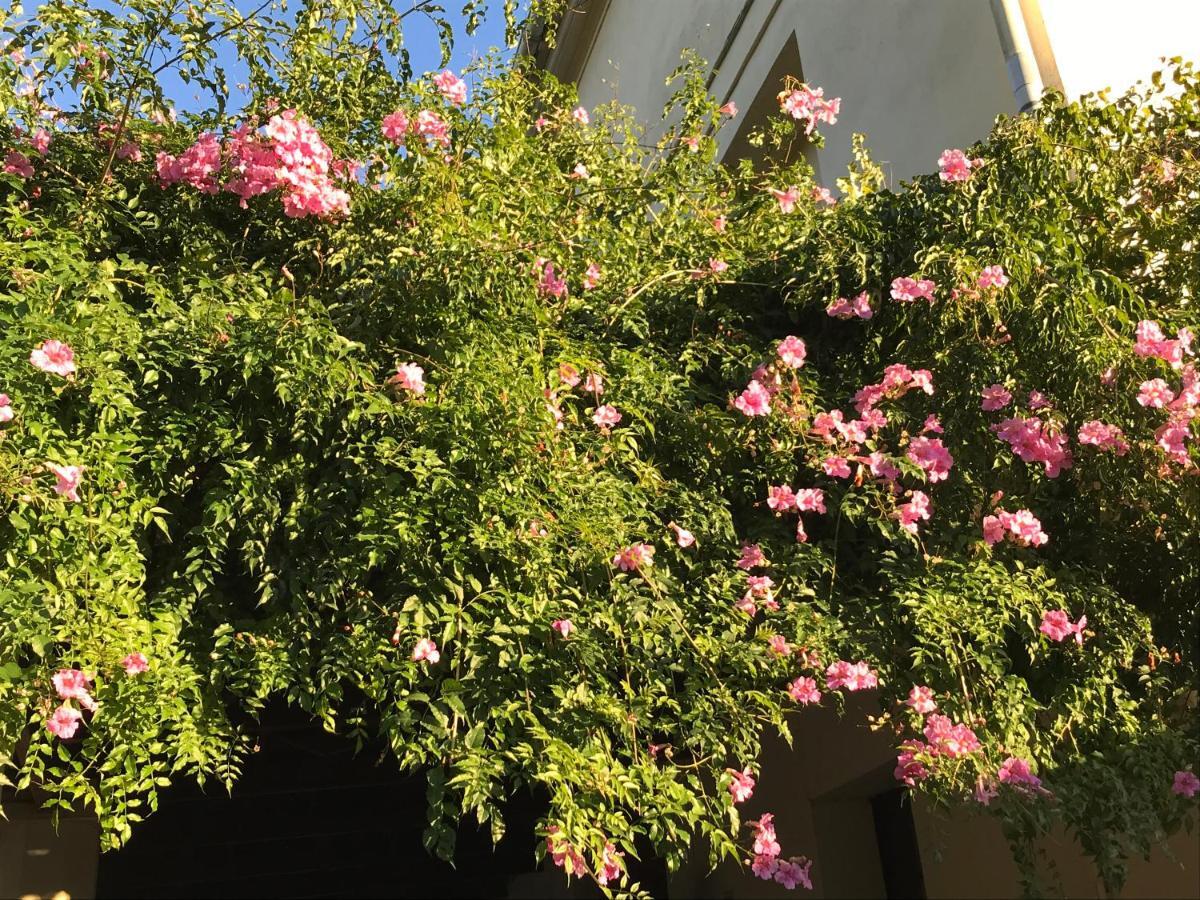 Apartamento Elsa Valencia