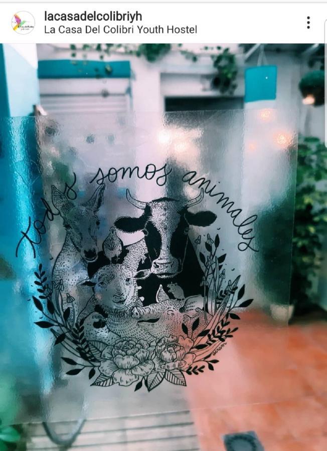 La Casa Del Colibri Youth (adults Only) Hostal Valencia