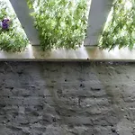 Pequeño alojamiento con Mini Piscina temperatura ambiente - WIFI Free