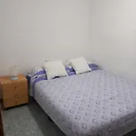 habitación grande en piso compartido con 2 adultos y 1 perrito