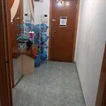 habitación grande en piso compartido con 2 adultos y 1 perrito