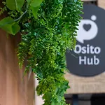 Natural Loft Osito Hub A