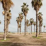 Resort Beach Valencia