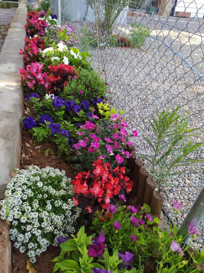 Apartamento Relaxing Country Setting