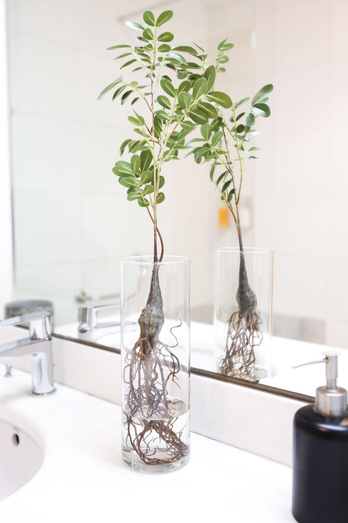 & Co. J. Botanico Boutique Hotel