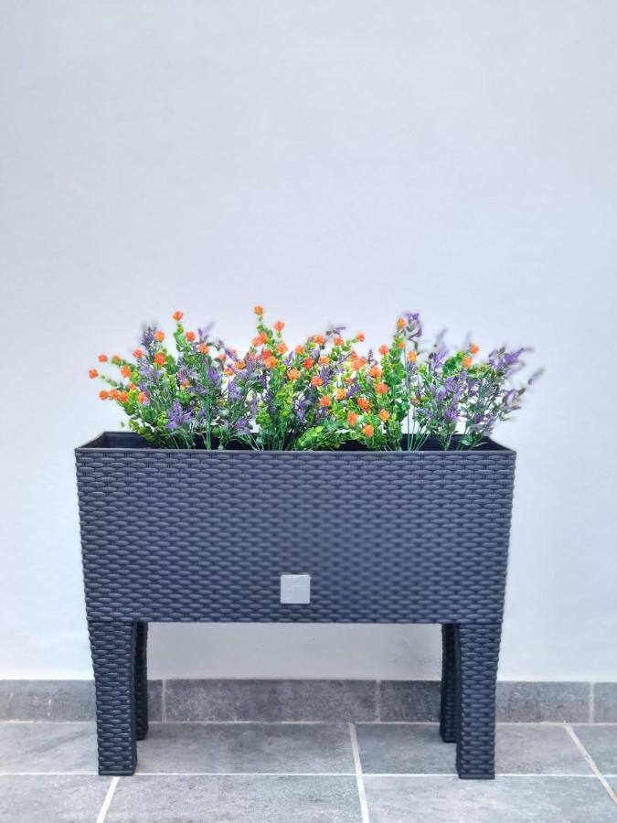 Shf Les Arts Apartment