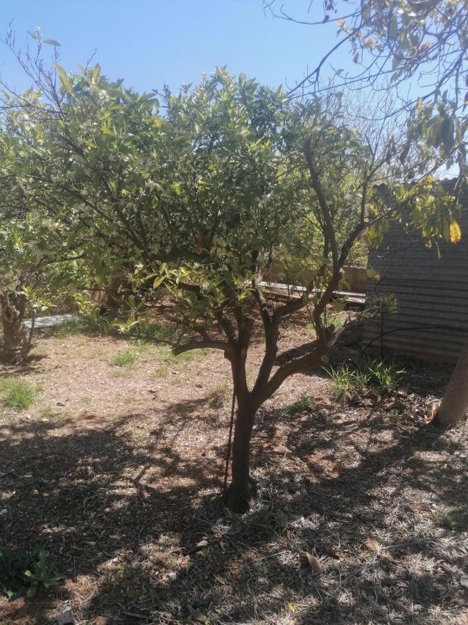 Casa Mans Albalat/sagunto Сasa de vacaciones Valencia