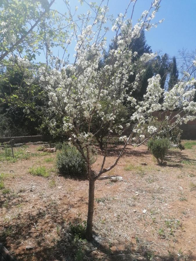 Сasa de vacaciones Casa Mans Albalat/sagunto *