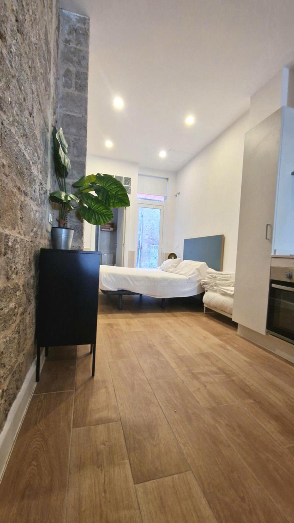 Loft Independiente Con Piscina Compartida En Centro De Valencia