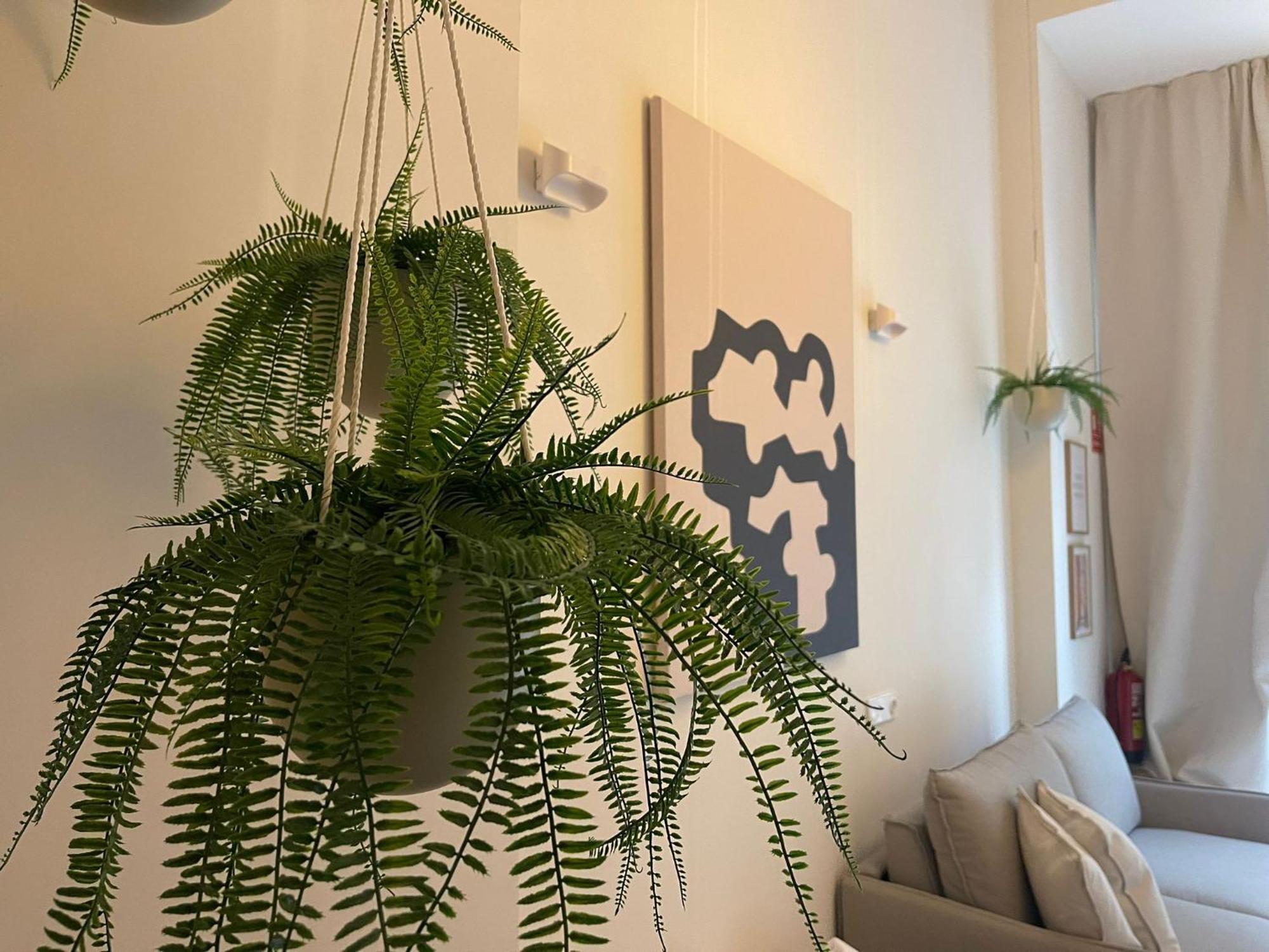 Natural Loft Osito Hub A