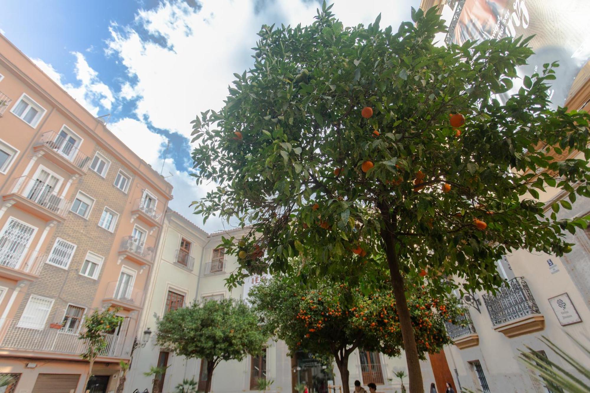 Apartment Tranquilo Apartamento Centrico En Plaza Cisneros