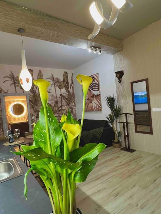 Apartamento Casa Maravillosa *