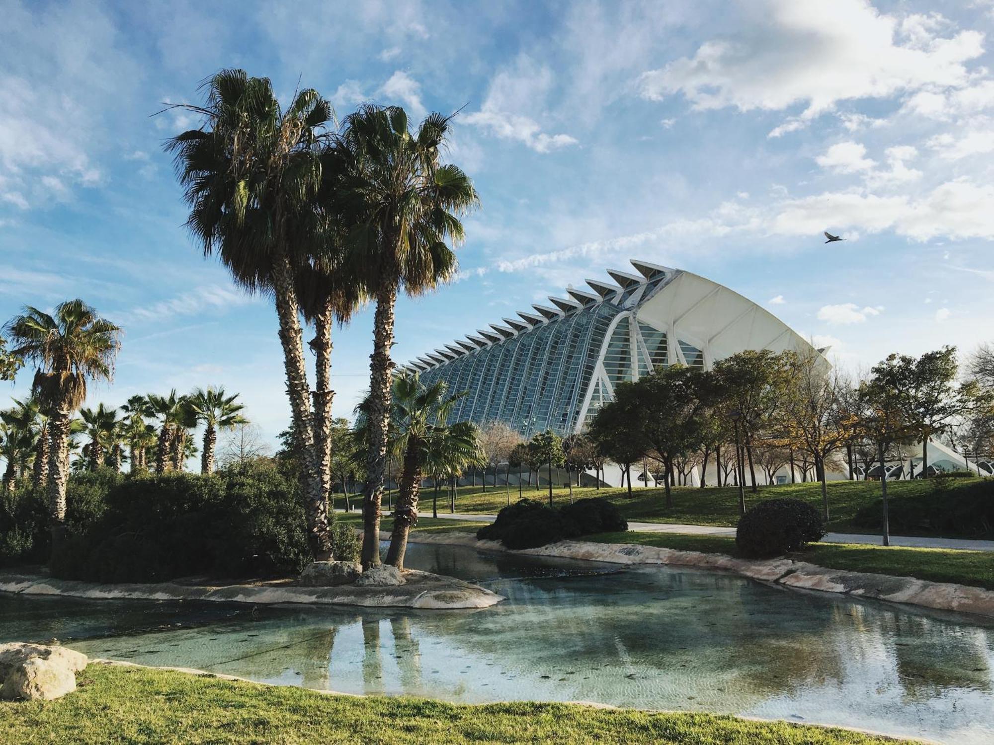Apartamento Mediterraneum F Valencia