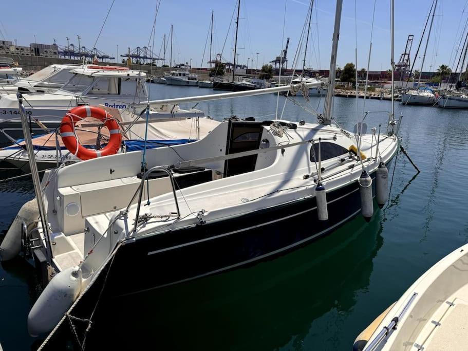 Marine Dream Valencia