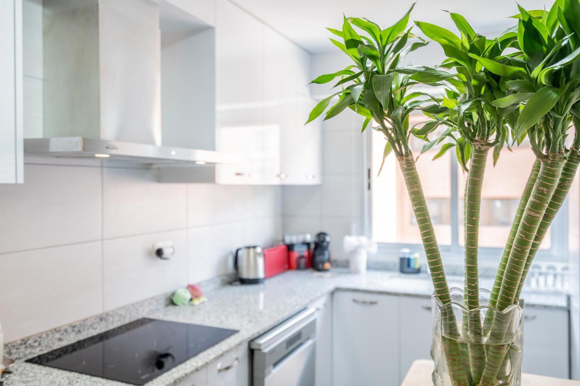 Familias-cómodo-buena Ubicación Apartamento *